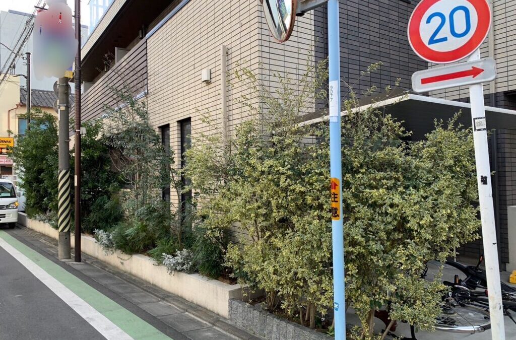 世田谷区経堂で生垣の剪定前