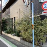 世田谷区経堂で生垣の剪定-道路に伸びた木々の剪定
